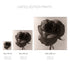 Rose No.1 - Signed Edition Art Print